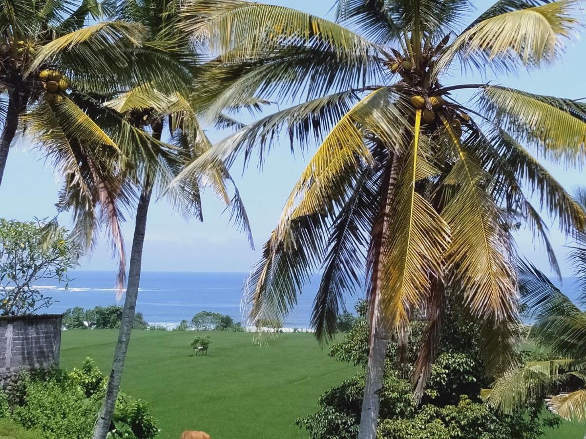 Medewi Beach View Villa Jembrana Zewnętrze zdjęcie