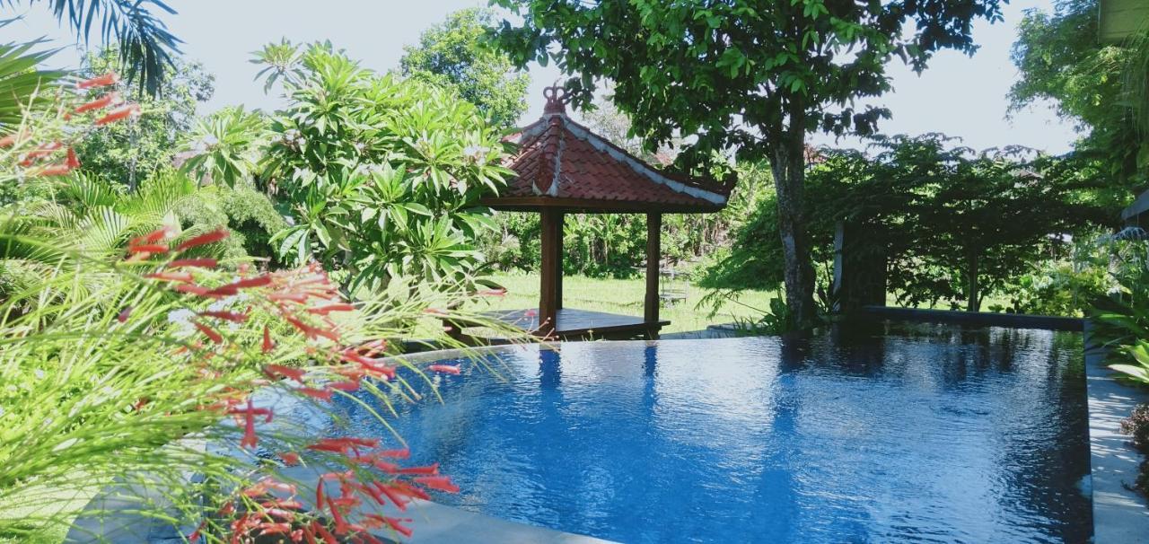 Medewi Beach View Villa Jembrana Zewnętrze zdjęcie