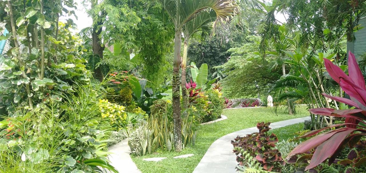 Medewi Beach View Villa Jembrana Zewnętrze zdjęcie